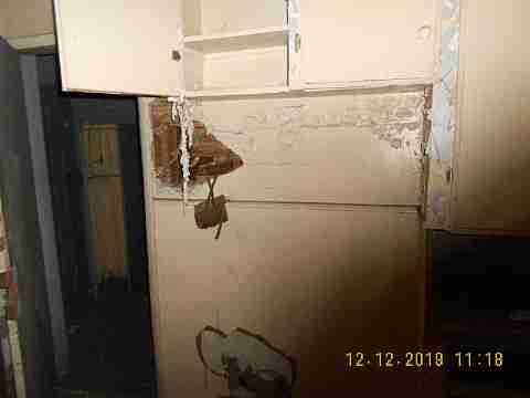 5529 Joy 2nd trip (31)_m.jpg